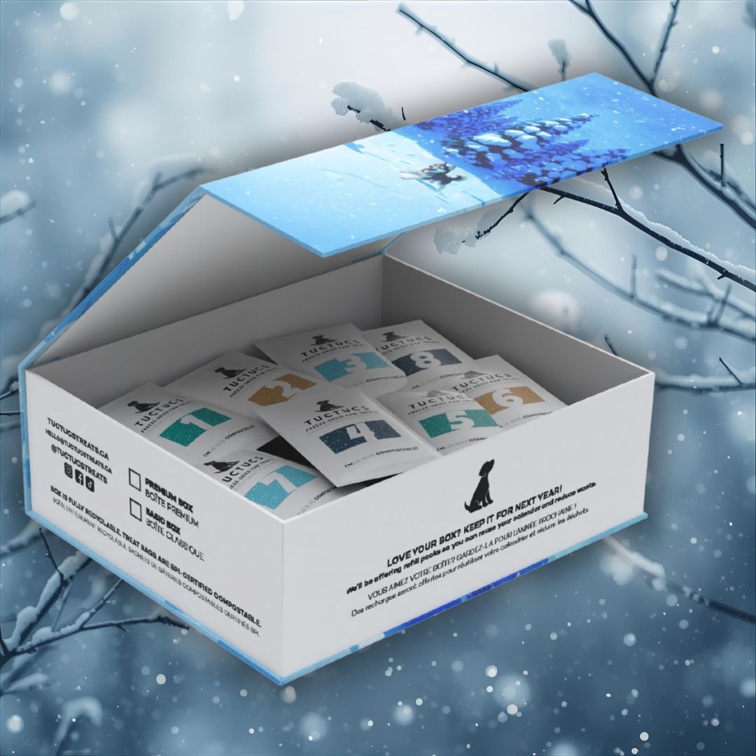Holiday Advent Calendar (Pre-Order)