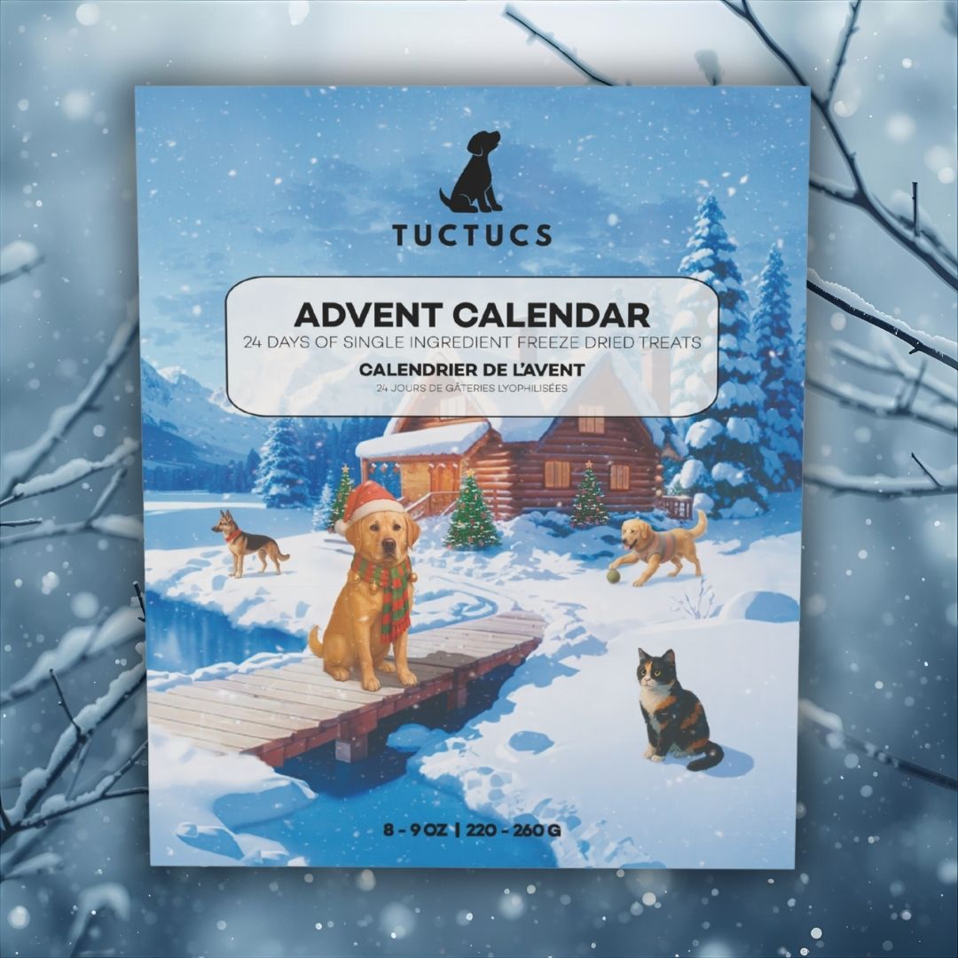 Holiday Advent Calendar (Pre-Order)