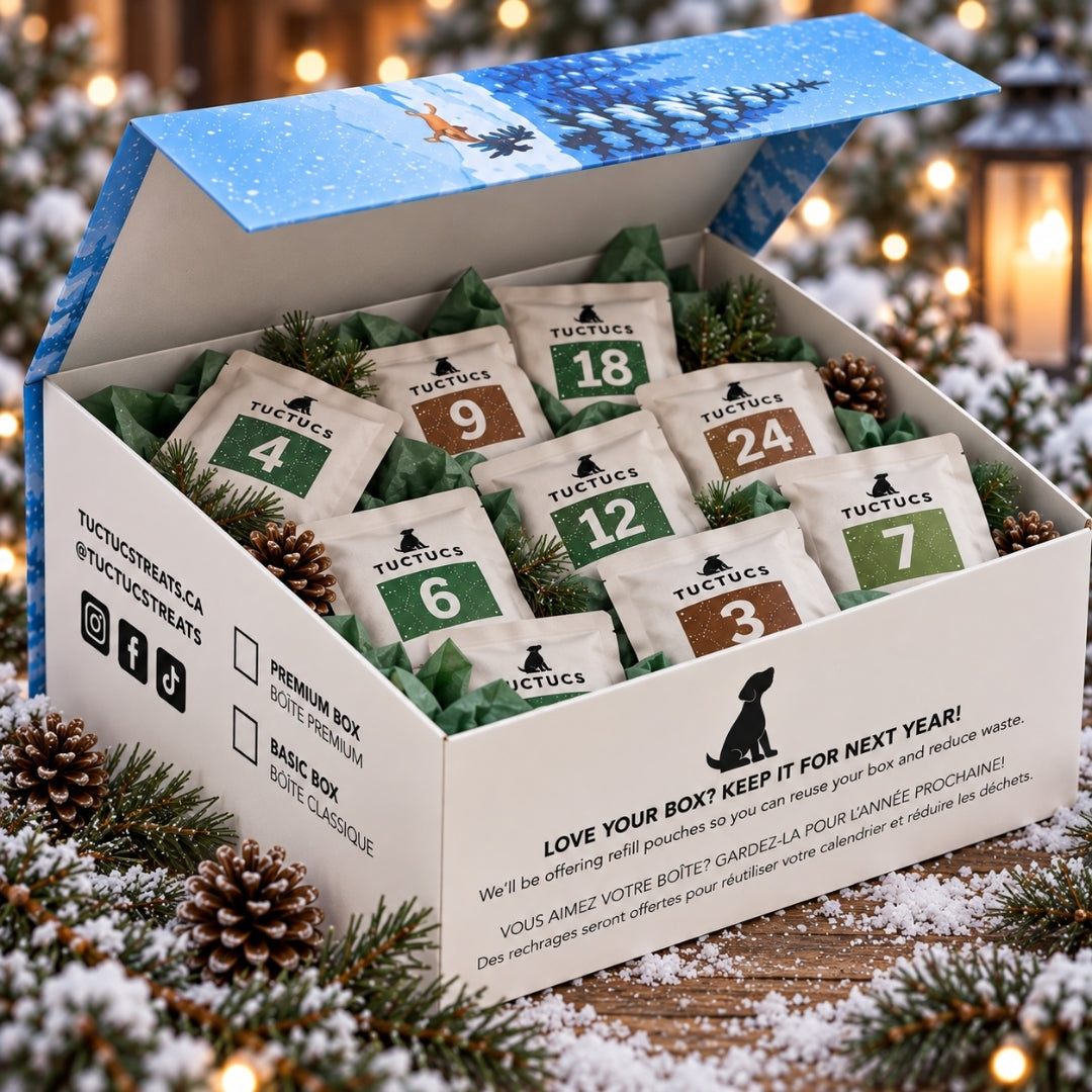 Holiday Advent Calendar