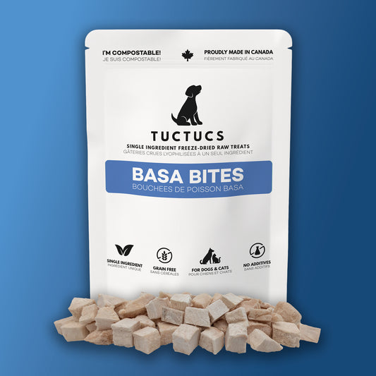 Basa Bites