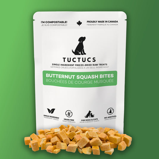 Butternut Squash Bites