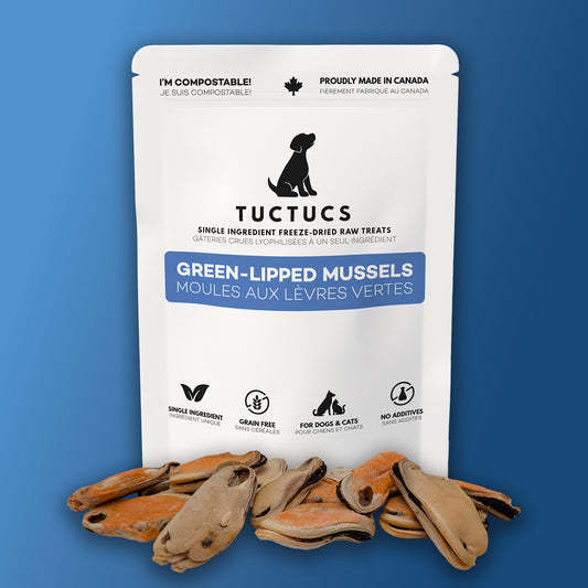 Green-Lipped Mussels