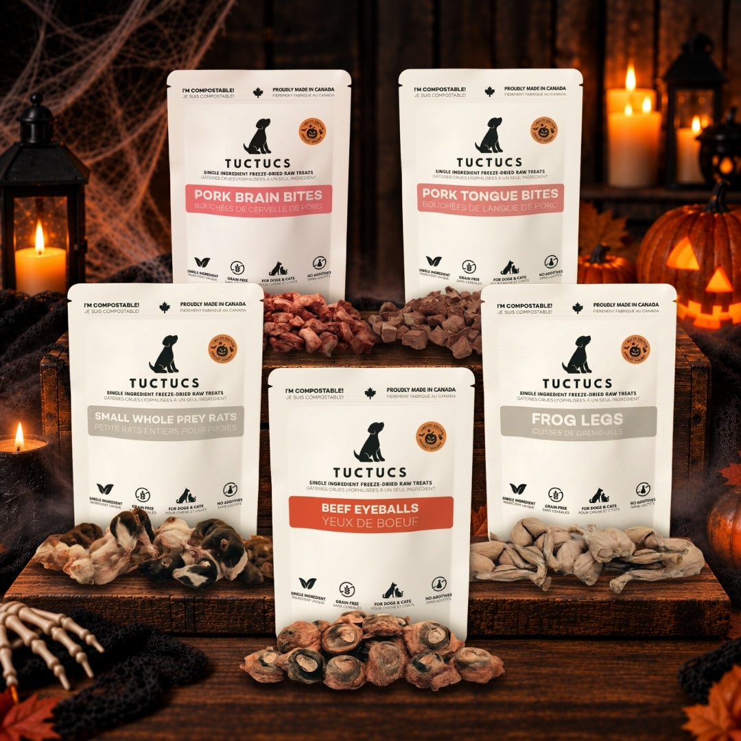 Halloween Collection