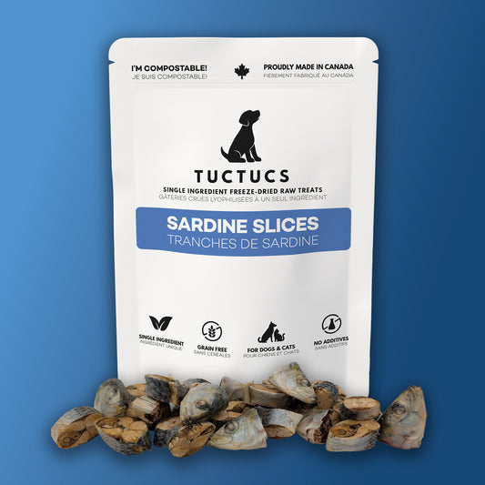 Sardine Slices