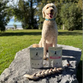 River's Picks