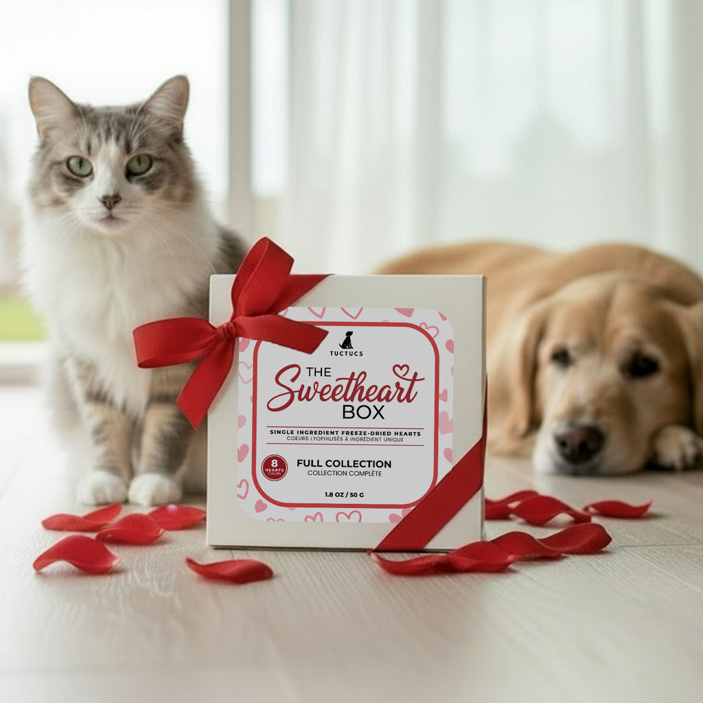 The Sweetheart Box - Limited Edition