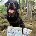 Xena's Picks