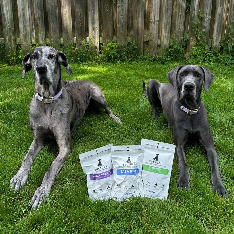 Ivy & Breeze's Picks