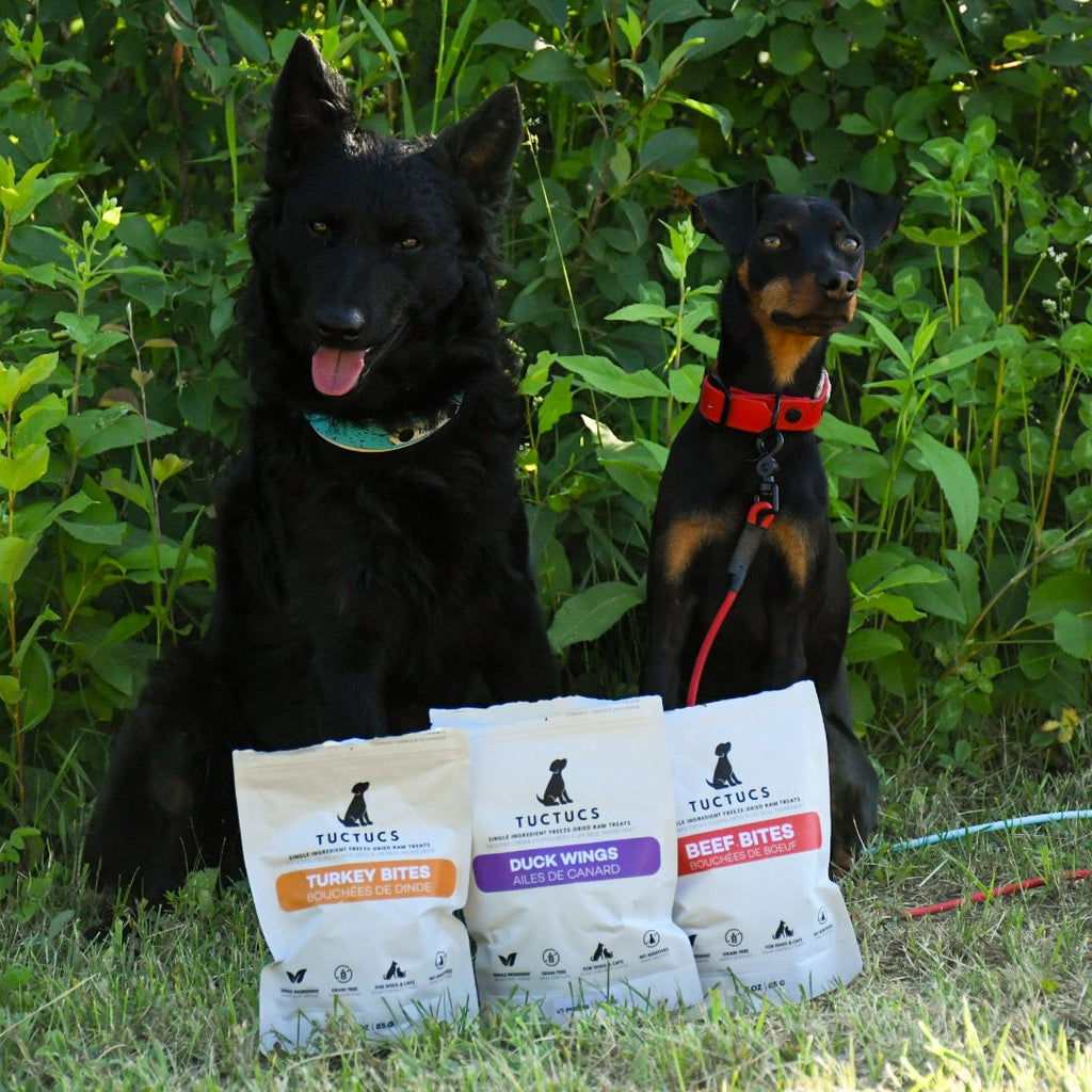 Duke & Lupin's Picks