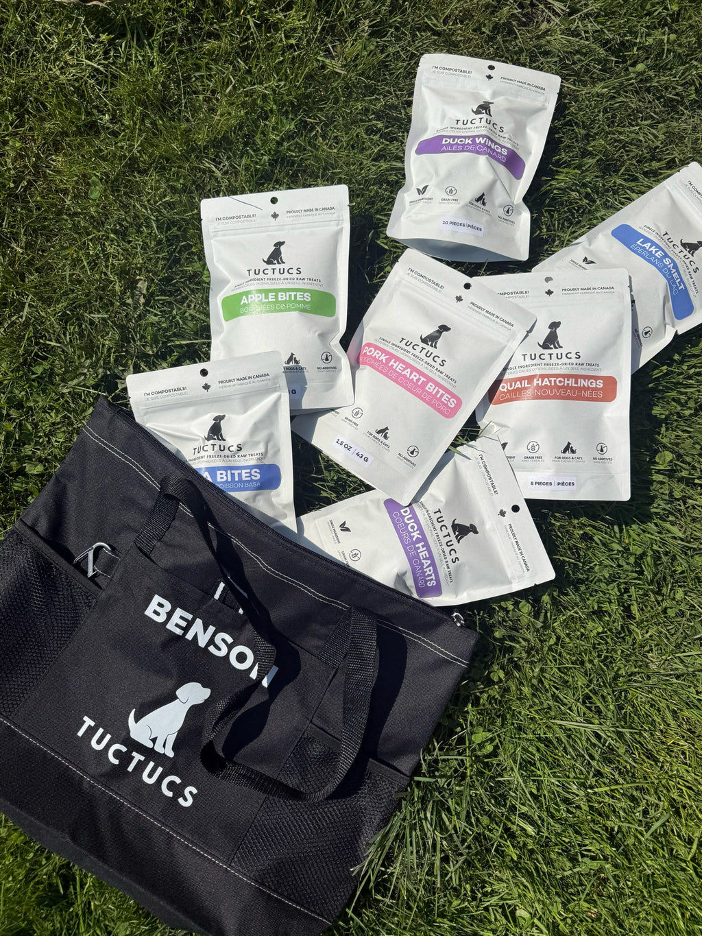 Ambassador Tote
