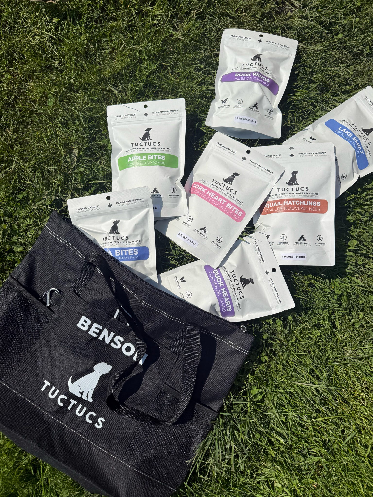 Ambassador Tote