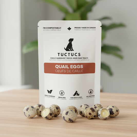 Quail Eggs