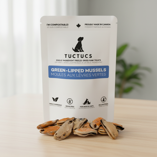 Green-Lipped Mussels